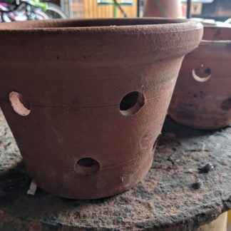 Orchid Pots (5-7")
